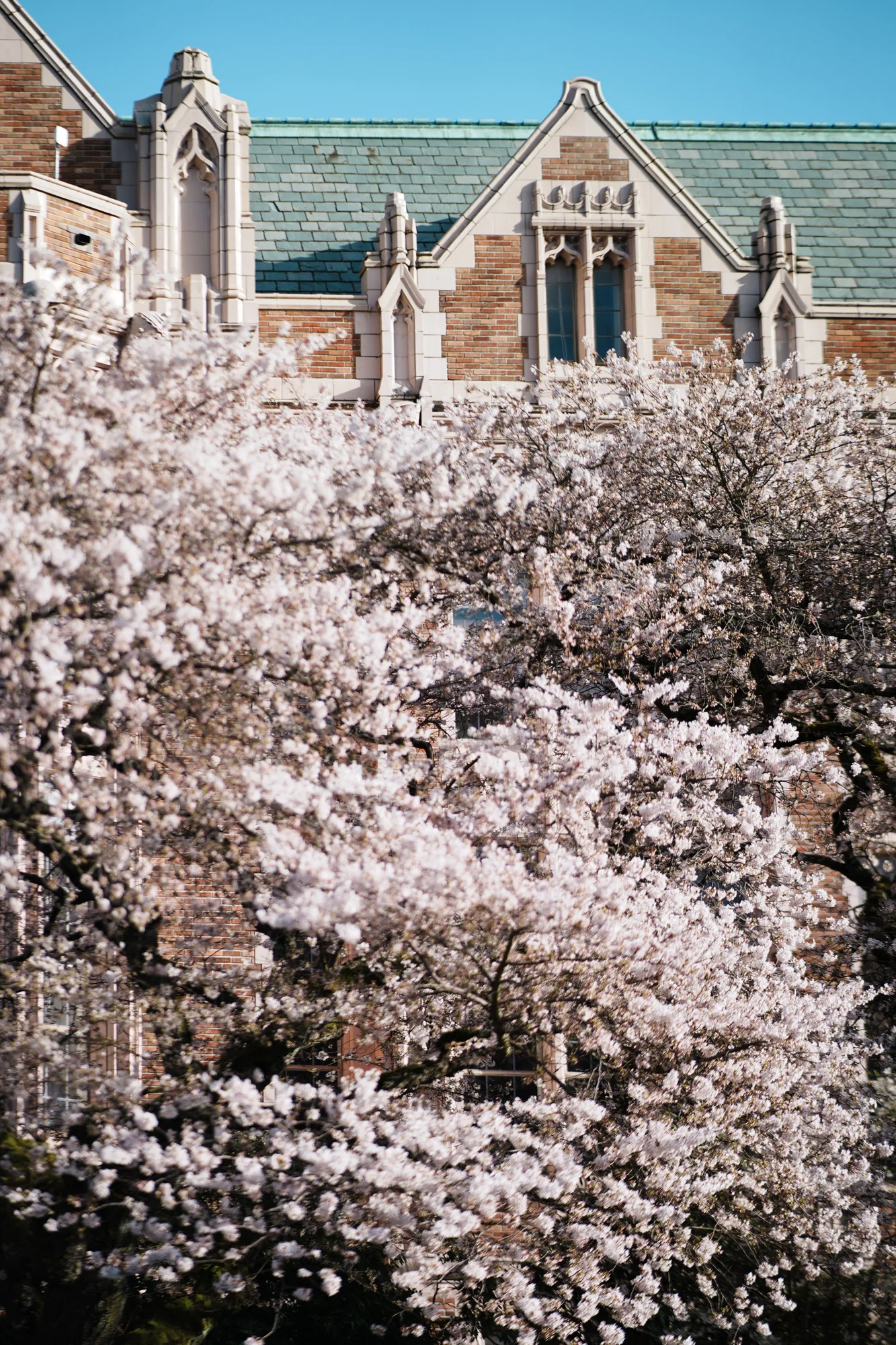 Photography image 1